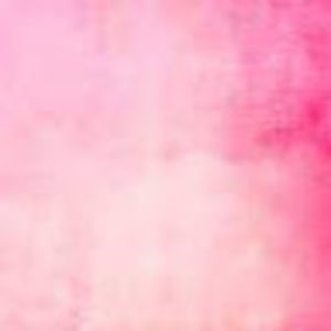 Meet your Posher, Rose